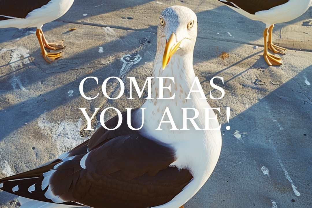 Kachel der Reiche «Come as you are!»